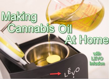 How To Make Cannabis Oil At Home With LEVO Infusion