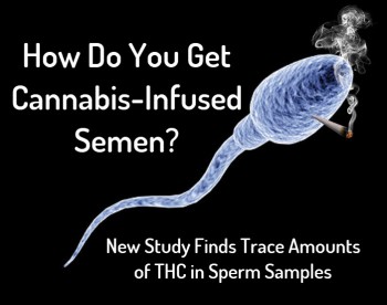 How Do You Get Cannabis-Infused Semen? - New Study Looks if THC is Present in Sperm Tests