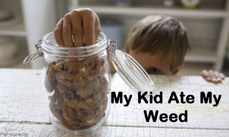 kid ate weed