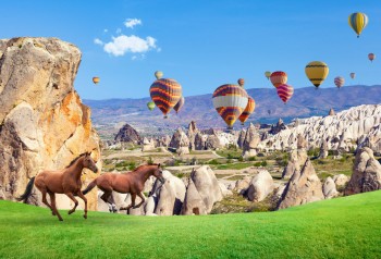 Magic Mushroom Tourism and Vacations - The 5 Best Places to Vacation and Do Psilocybin Mushrooms