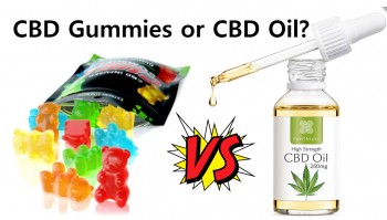 CBD Gummies or CBD Oil? The Side by Side Comparison