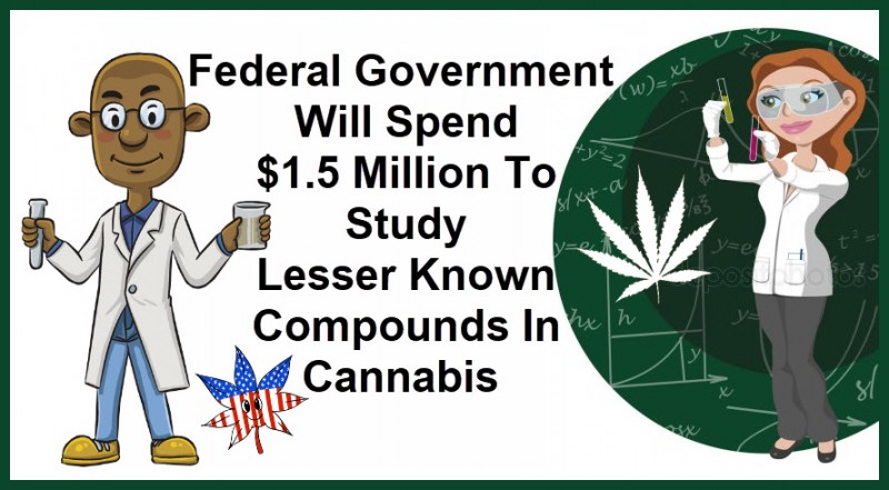 usa cannabis research