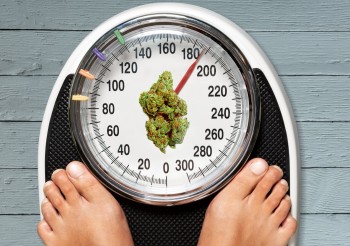 If Inflammation Causes Obesity, Can Cannabis Help Break the Vicious Cycle?
