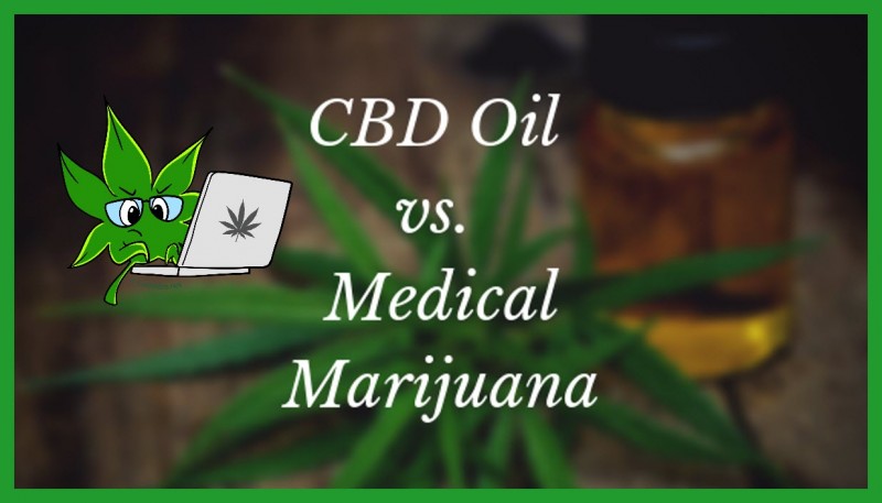 cbd oil or medical marijuana