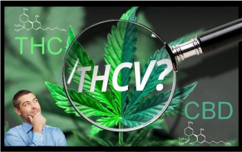 THCV Explained: An Expository Guide to Tetrahydrocannabivarin