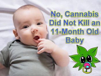 No, Cannabis Did Not Kill an 11-Month Old Baby