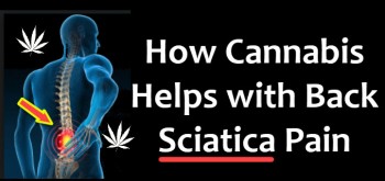 Cannabis For Disk and Sciatica Back Pain