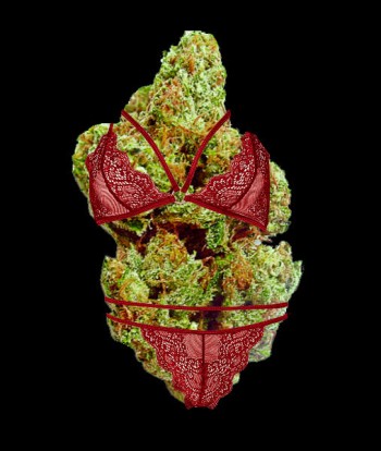 Bud Porn - New Cannabis Marketing Strategy or Just a Nice Picture of Marijuana Buds?