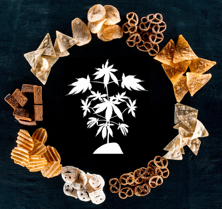 Hemp Oil Can Lower Your Cholesterol According to a New Medical Study