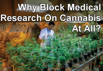 Why Block Medical Research on Cannabis at All?