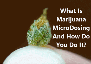 The Art Of Marijuana Microdosing