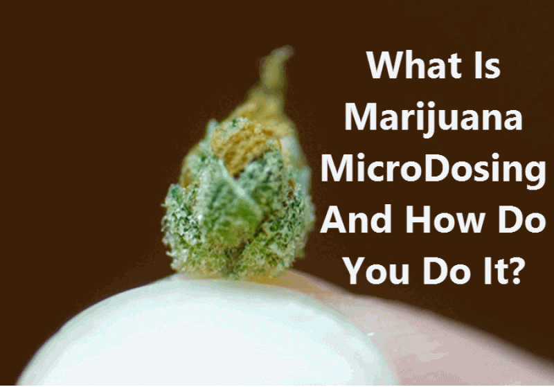 Marijuana Microdosing