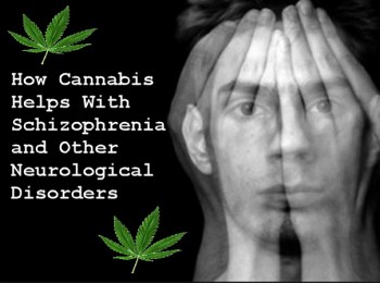 How Cannabis Helps With Schizophrenia and Other Neurological Disorders