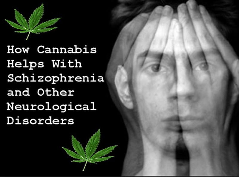 cannabis for schizophrenia