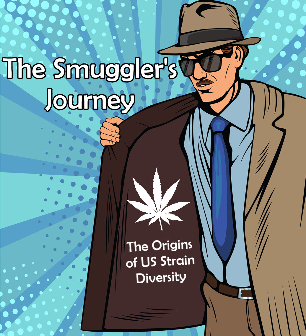 The Smuggler's Journey - The Origins of US Strain Diversity 