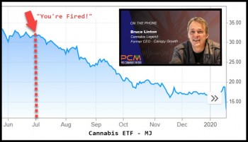 Canary in a Coal Mine - Did Bruce Linton Getting Fired Cause the Cannabis Stock Market Crash?