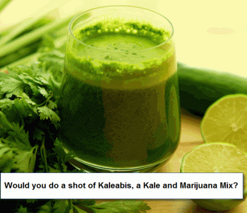 Kaleabis: Meet The Hybrid Of Kale and Cannabis