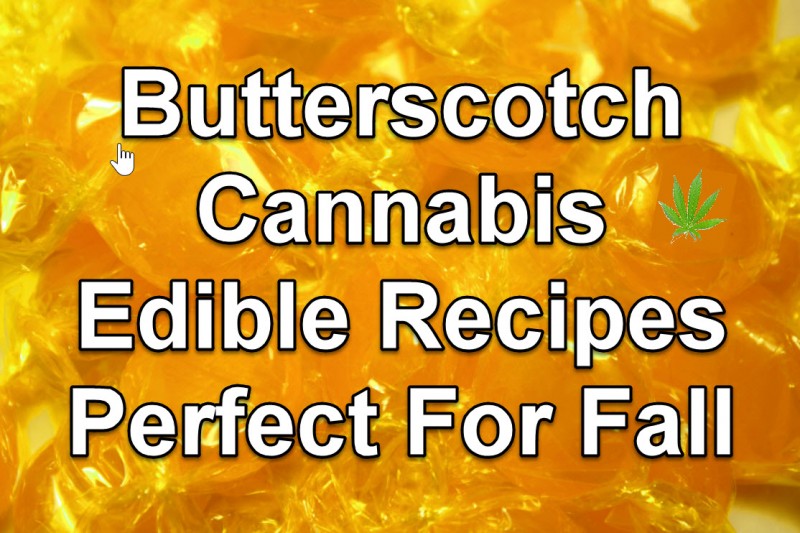 cannabis butterscotch