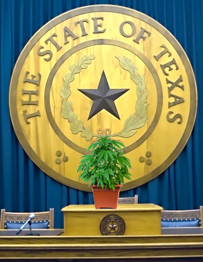 THC vote in Texas