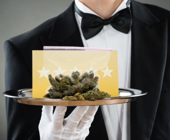 What is a Cannabis Concierge and are They Worth Your Money?