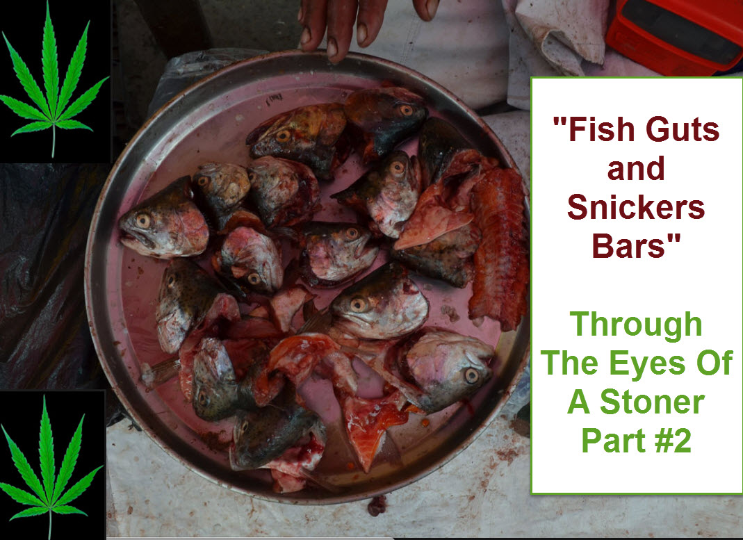 Fish Guts And Snickers Bars Through The Eyes Of A Stoner