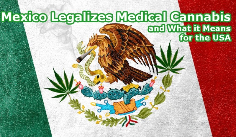mexico legalizes medical marijuana