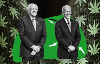 Bernie Sanders Met with President Biden to Talk about Marijuana Legalization - What Did He Tell Him?