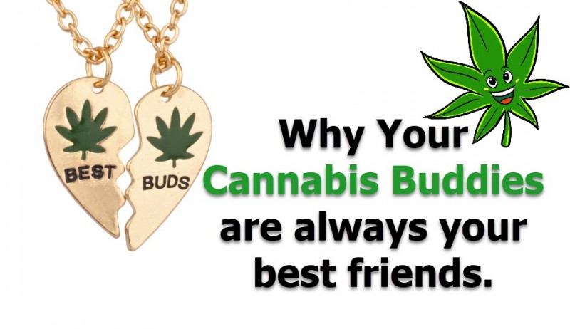 Cannabis Buddies