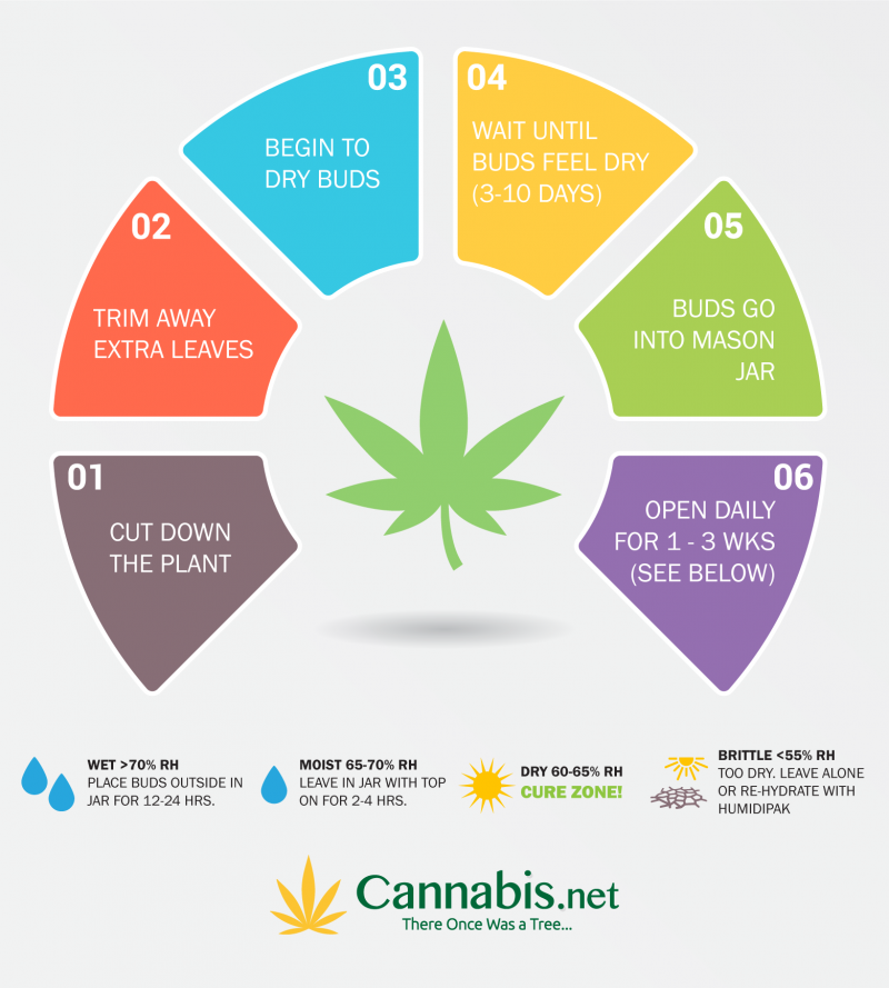 curing cannabis chart