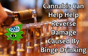 Cannabis Can Help Help Reverse Damage Caused By Binge Drinking