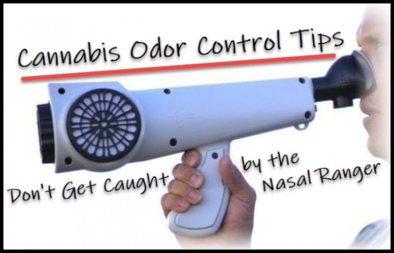 cannabis odor control tips  nasal ranger