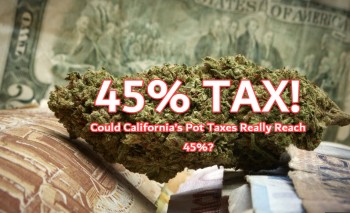 Could California’s Pot Taxes Reach 45%?