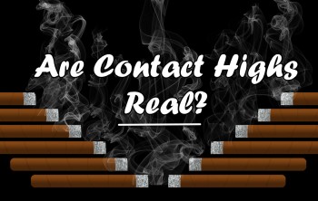 Are Contact Highs Real?