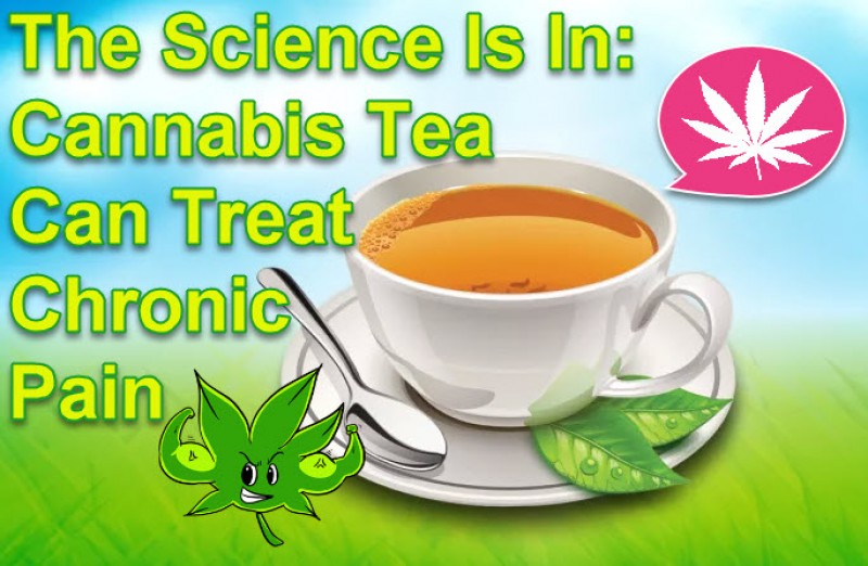 cannabis tea for chronic pain