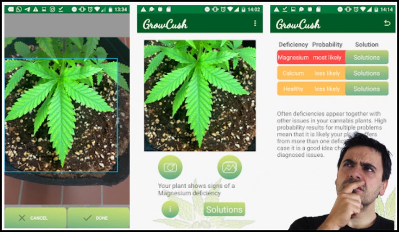 Grow Crush Weed App