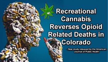 Recreational Cannabis Reverses Opioid Related Deaths in Colorado