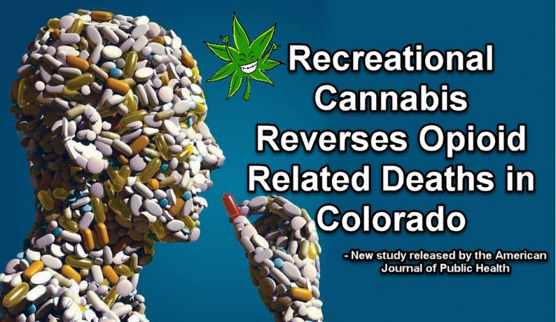 recreational cannabis stops opiates