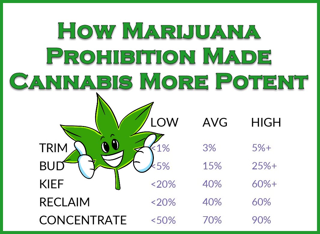 How Marijuana Prohibition Made Cannabis More Potent