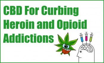 CBD For Curbing Heroin and Opioid Addictions