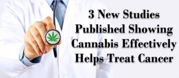3 New Studies Published Showing Cannabis Effectively Helps Treat Cancer