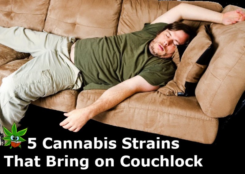 cannabis strains for couchlock