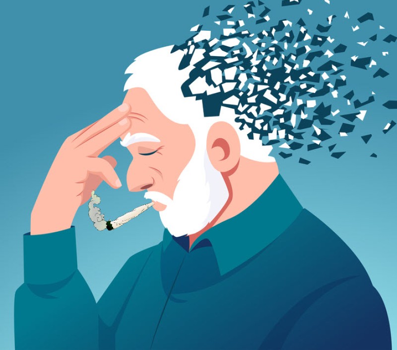 cognitve decline and cannabis use