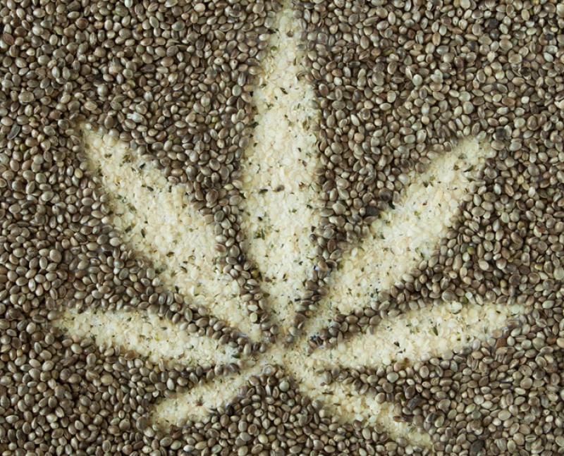 how to tell good marijuana seeds