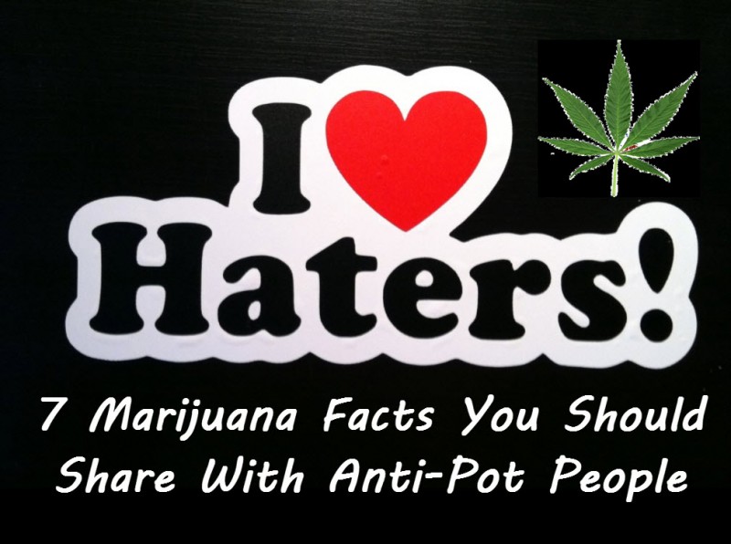 cannabis haters