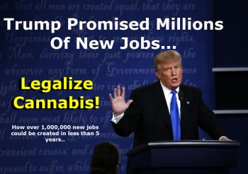Trump Promised Millions Of New Jobs So Legalize Cannabis