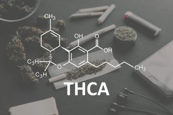 Maintaining The Highest Level of Quality and Freshness for THCa Products