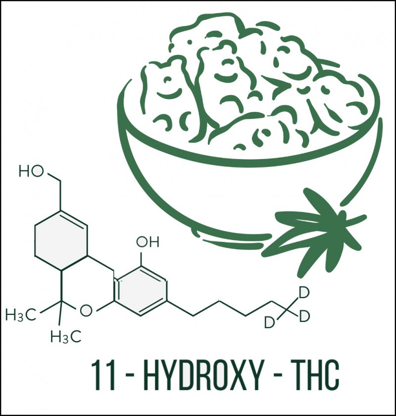 11-Hydroxy-THC -The Reason Why Edibles are so Powerful