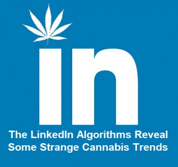 LinkedIn Reveals Some Strange Cannabis Trends and Personalities
