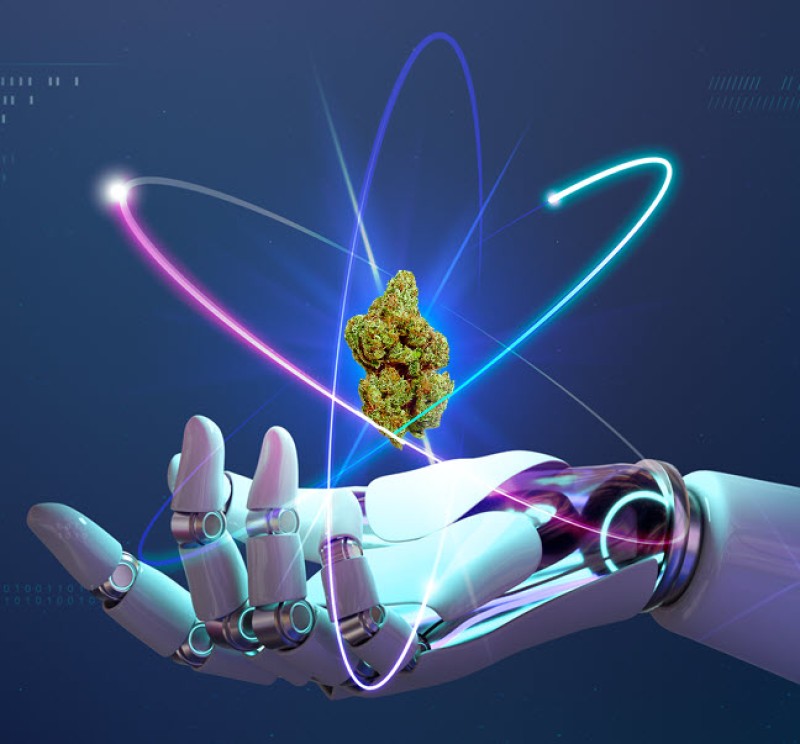 AI cannabis in the future