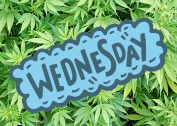 Green Wednesday - Get All Your Weed at Half Price?